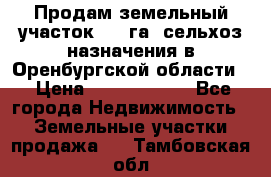 Продам земельный участок 800 га. сельхоз назначения в Оренбургской области. › Цена ­ 20 000 000 - Все города Недвижимость » Земельные участки продажа   . Тамбовская обл.